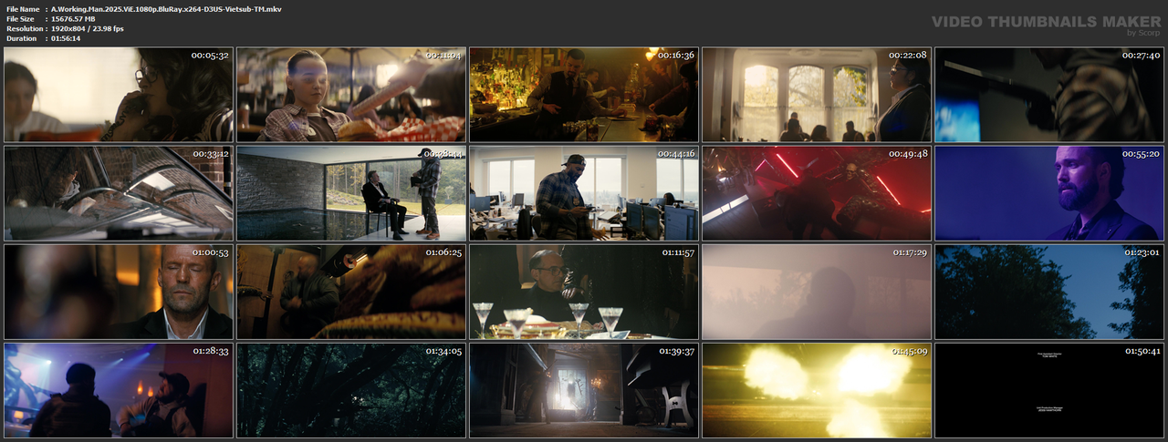 A.Working.Man.2025.ViE.1080p.BluRay.x264-D3US-Vietsub-TM.mkv