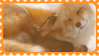made by @transmascgarfield on tumblr