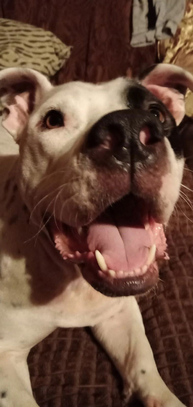 8B5A899A-7C4E-4E12-9F25-2158DEF29D36