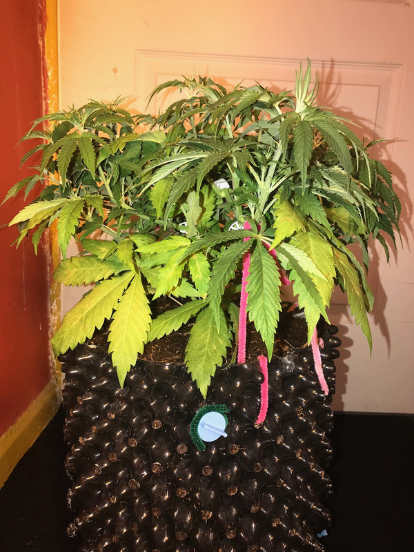 63339CE7-CB55-449F-95B6-21B599498489