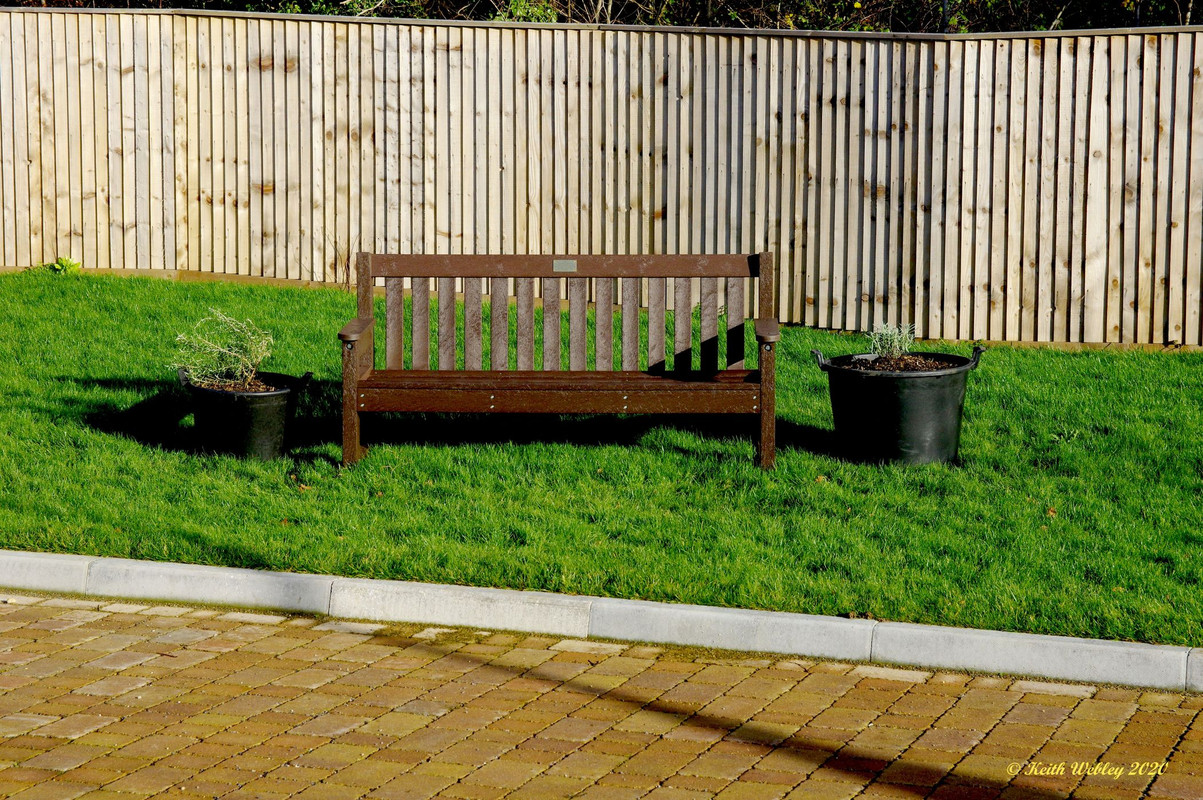 The new pots by the bench