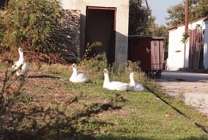 Εικόνα