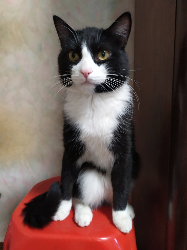 изображение_viber_2021-01-25_16-27-07