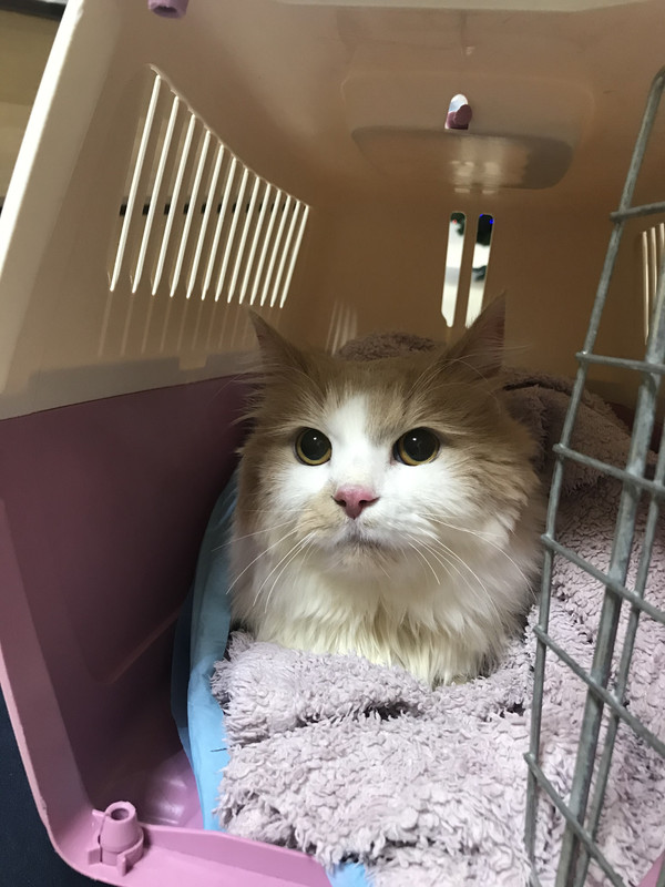 DB9900BD-D683-4D68-8F3C-359333190D99