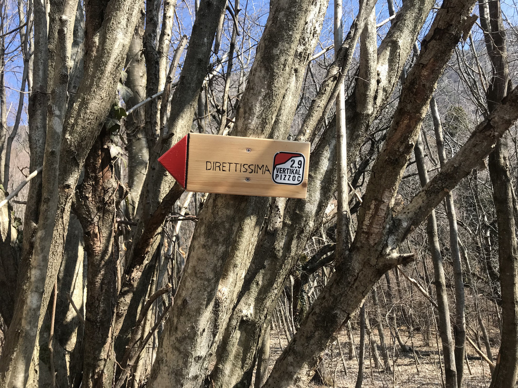 685BB473-1131-46A1-9C63-39FEF9686AF7