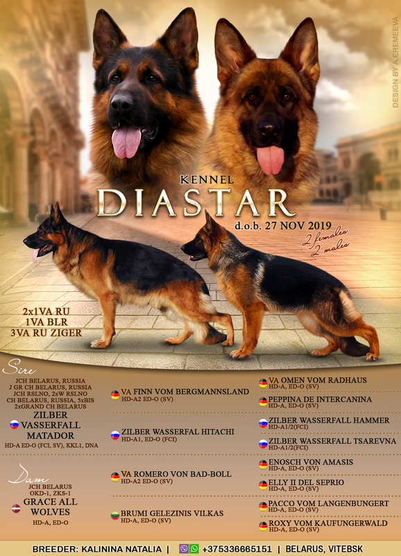 BC376C4A-1343-4678-B5F6-64F355699190