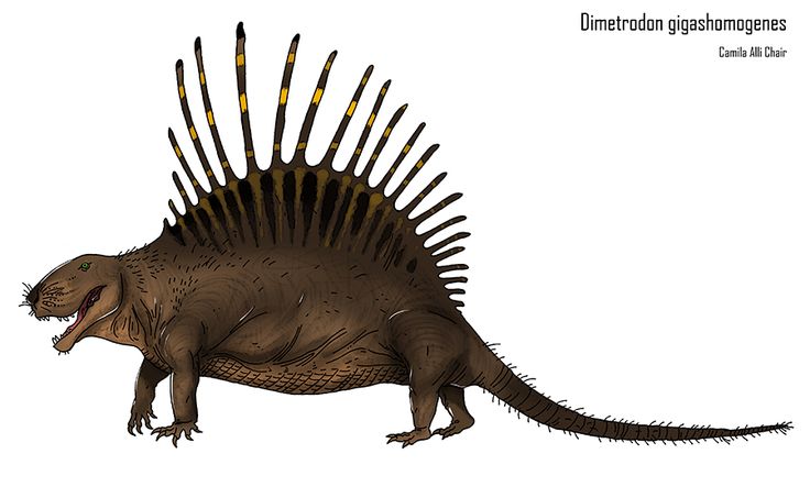 97cec465e0c4b1bca0226efb0c8ae072