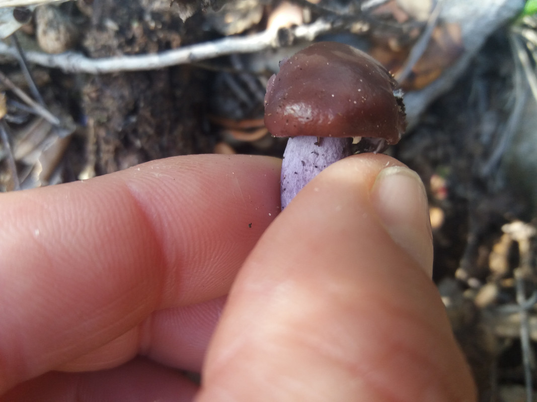 3093DD22-6CFF-485A-A753-C8468F144569