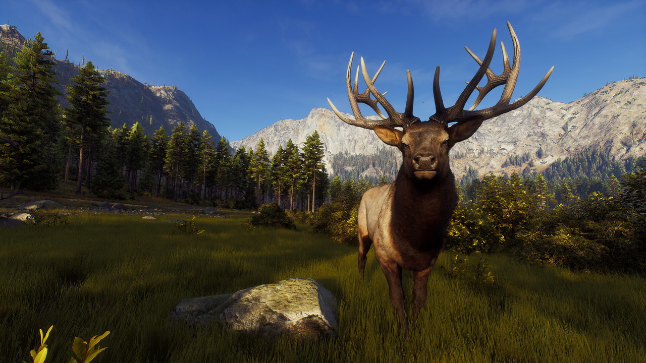 Download Way of The Hunter APK