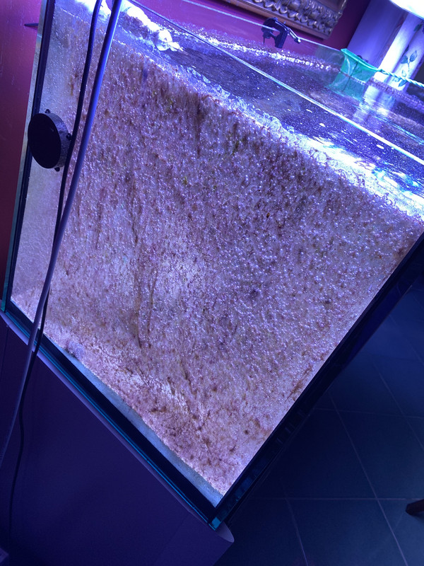 9EF8753E-74C5-49B1-804D-4823A91B1CC3