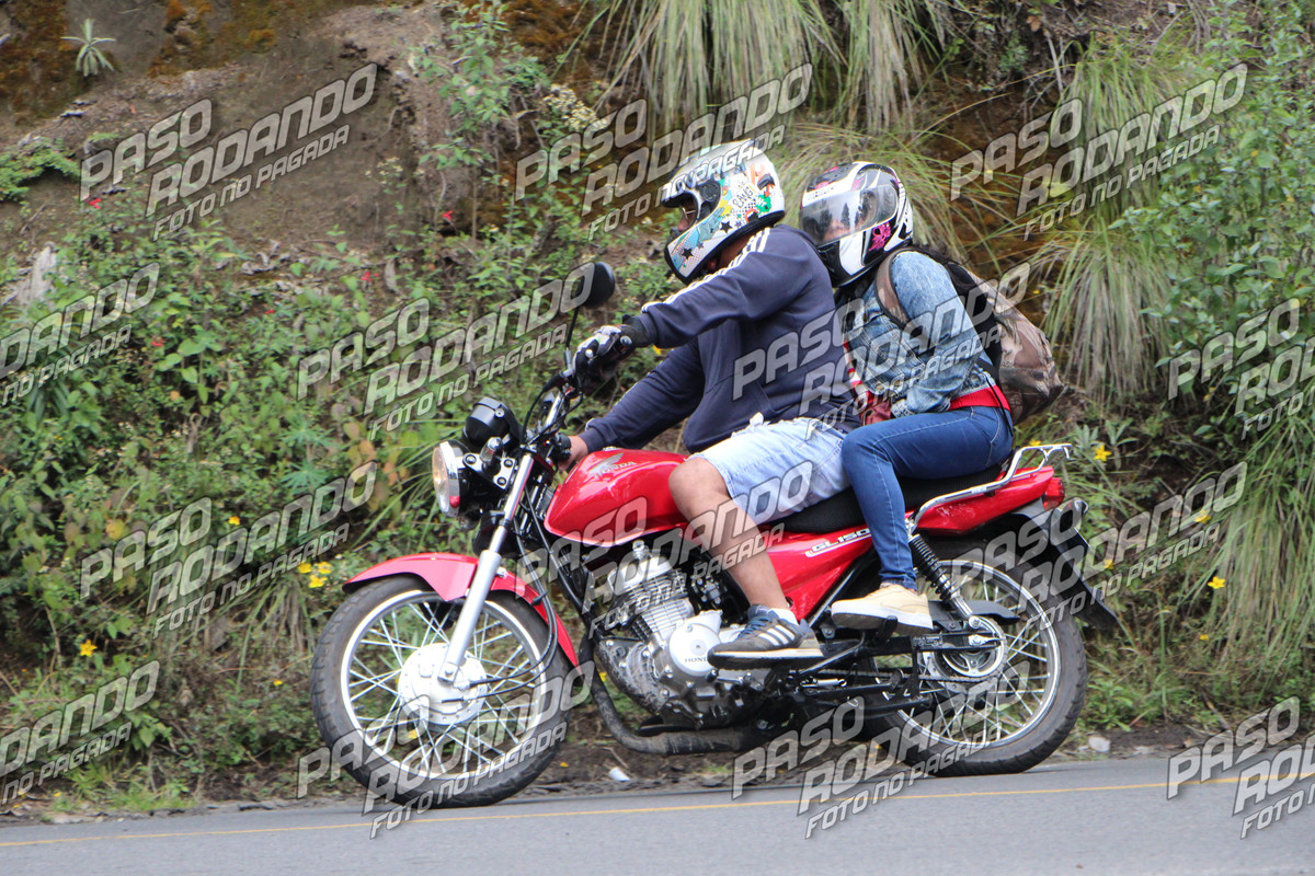 IMG 9293 wm 1899387 watermarked — Postimages