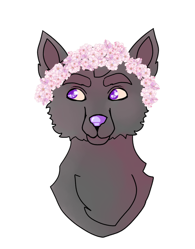 107717714 js9yuayvgp BRb O0