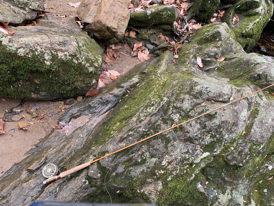 33051255-E534-4271-A4AE-9BCE05DC65D5