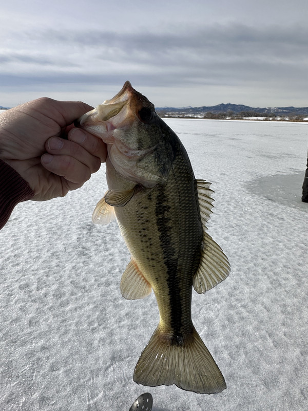 EC758470-7377-400E-B66F-47DC281EEC43