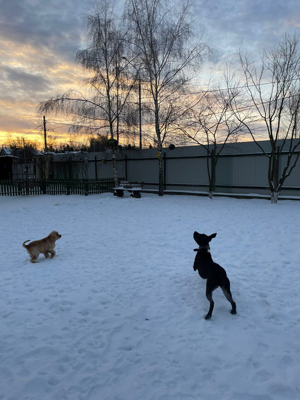 DCA95701-B586-43F7-9F1A-D658FE9F4102