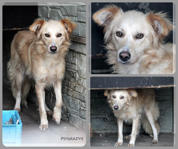 BeFunky-collage (20)