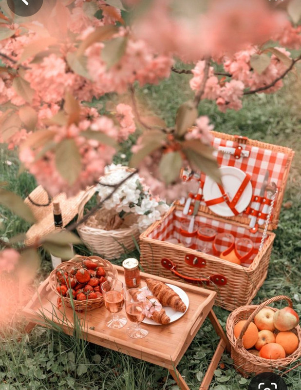 Screenshot_20240331_204504_Pinterest