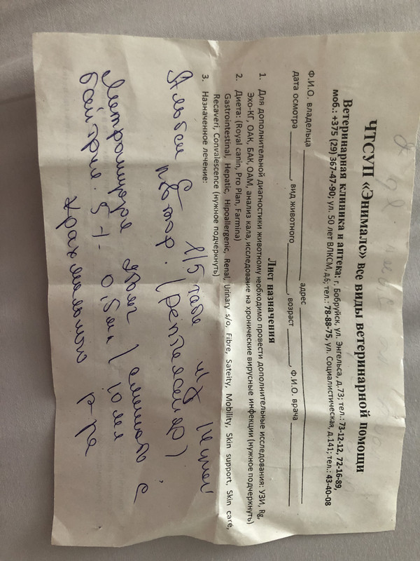 0390570A-EC74-4CA4-96CE-71A32F558B4E