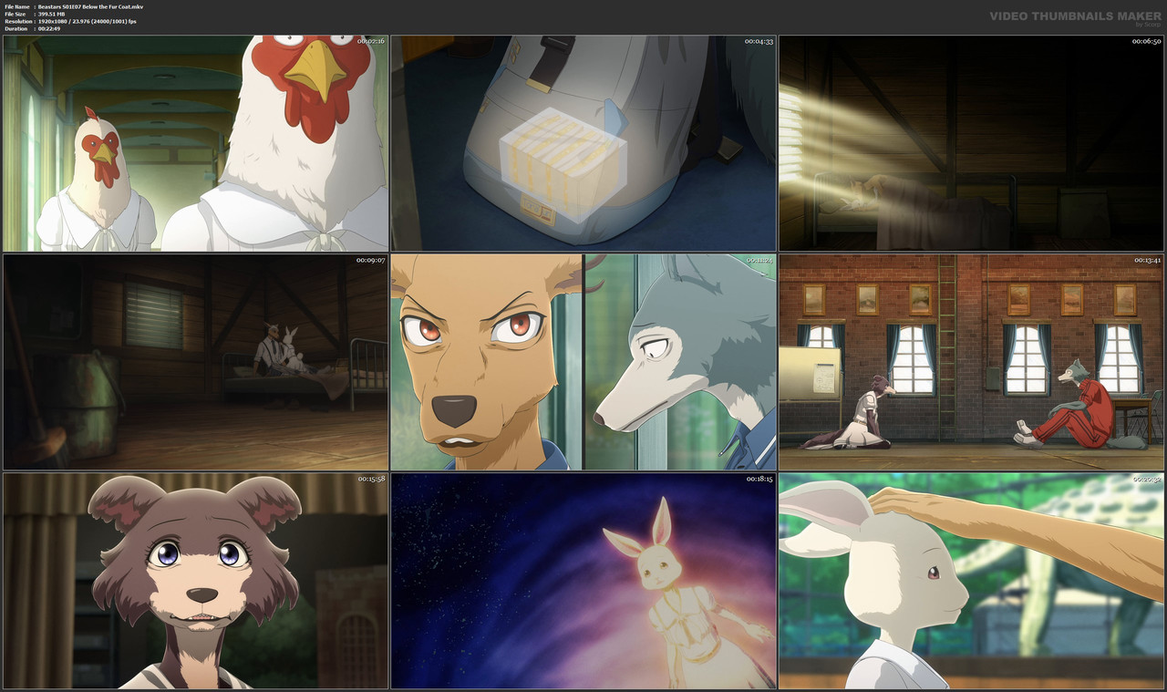 Beastars S01E07 Below the Fur Coat.mkv