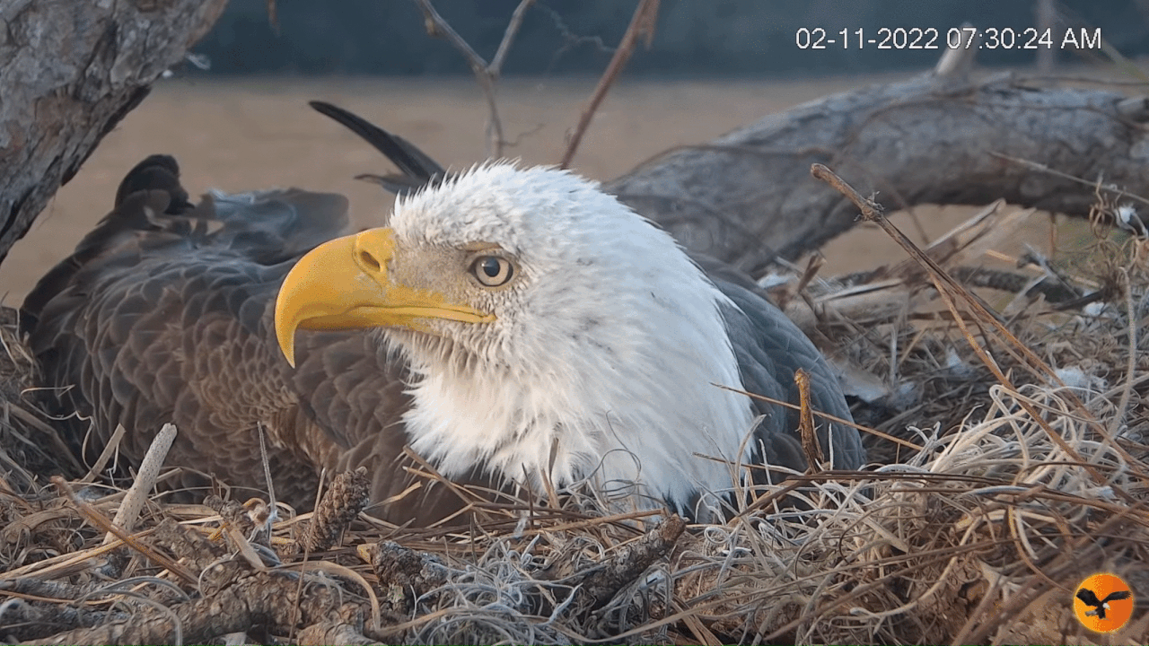 Webp.net-gifmaker (5)