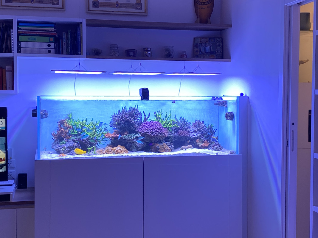 84424FA1-A2C4-41B7-9C06-63BE845AE44C