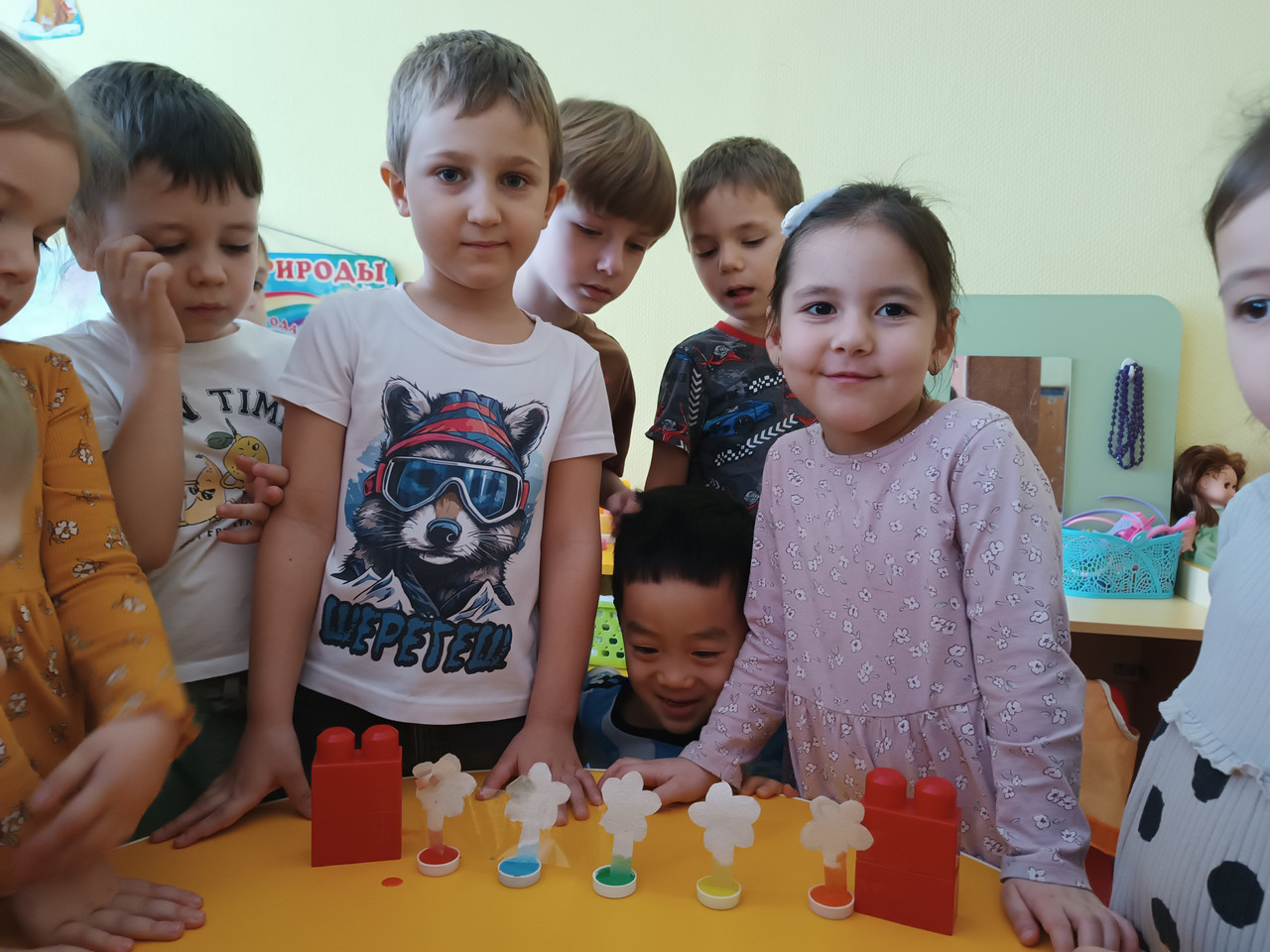 IMG-20260206-100922