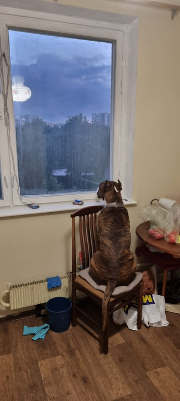 33CD0C35-378B-4FDE-8EB9-8480829BBEFA