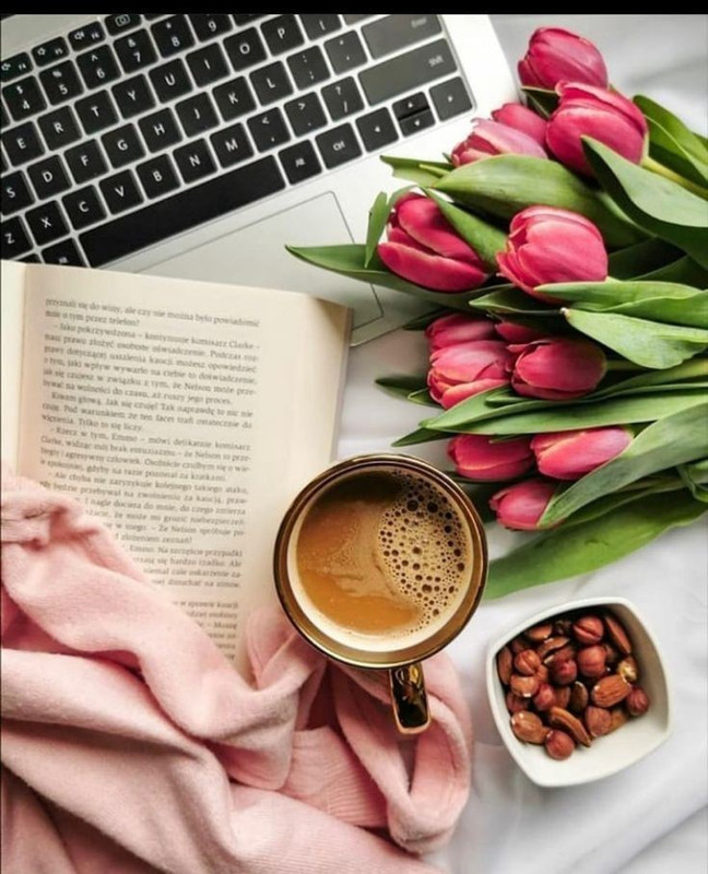 1937c01f59fa18b3d4d32cfb41693dc1