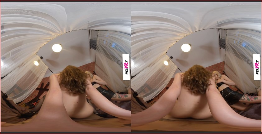 [Image: 28082024083128cover.jpg]