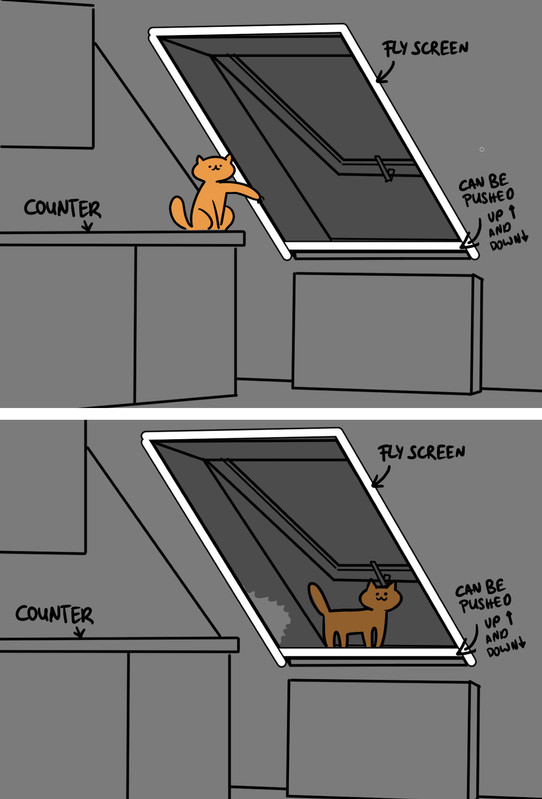 cat escape