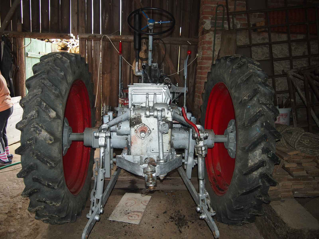 P6302953 (Kopírovat)