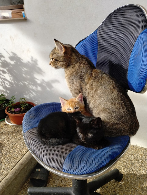 IMG_20251013_145624607