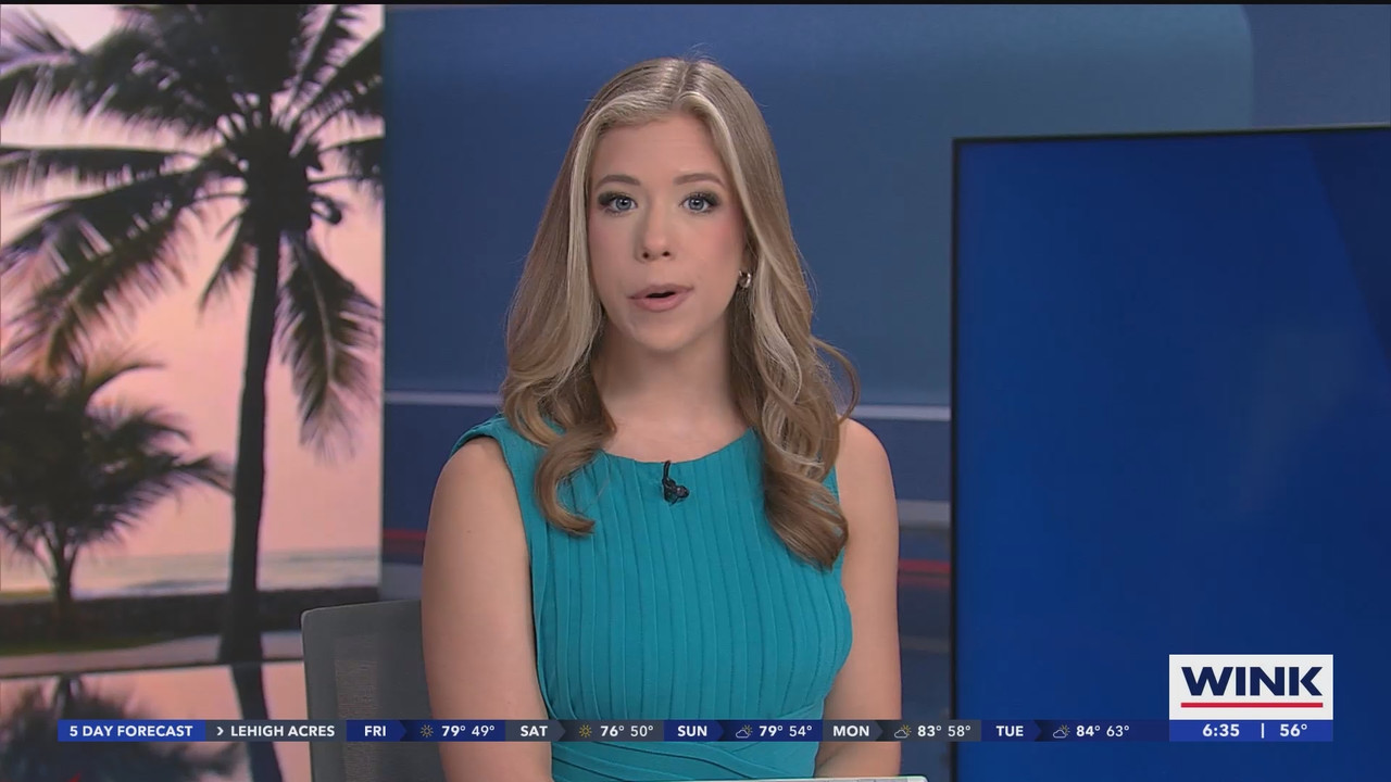 WINK News at 630am_20241206_11301200.ts_snapshot_06.20.725