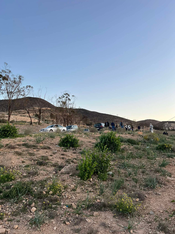 650048614-1241137411566289-4752060871030851738-n-(1)