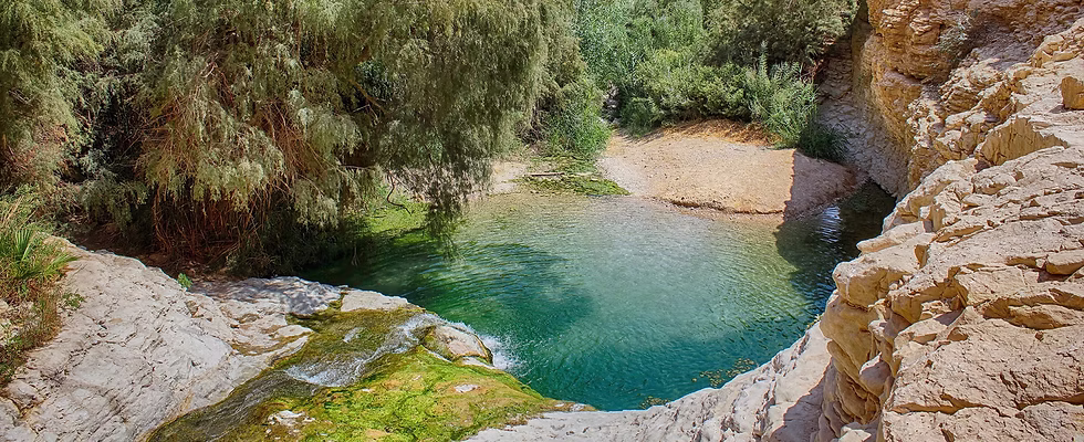 צוות צברה תור
