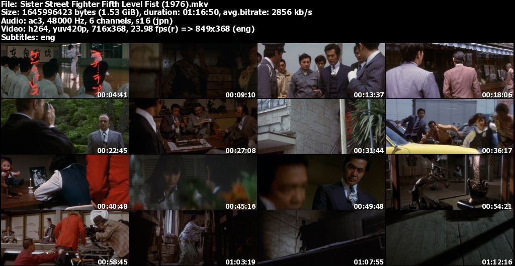 Sister Street Fighter Fifth Level Fist (1976)