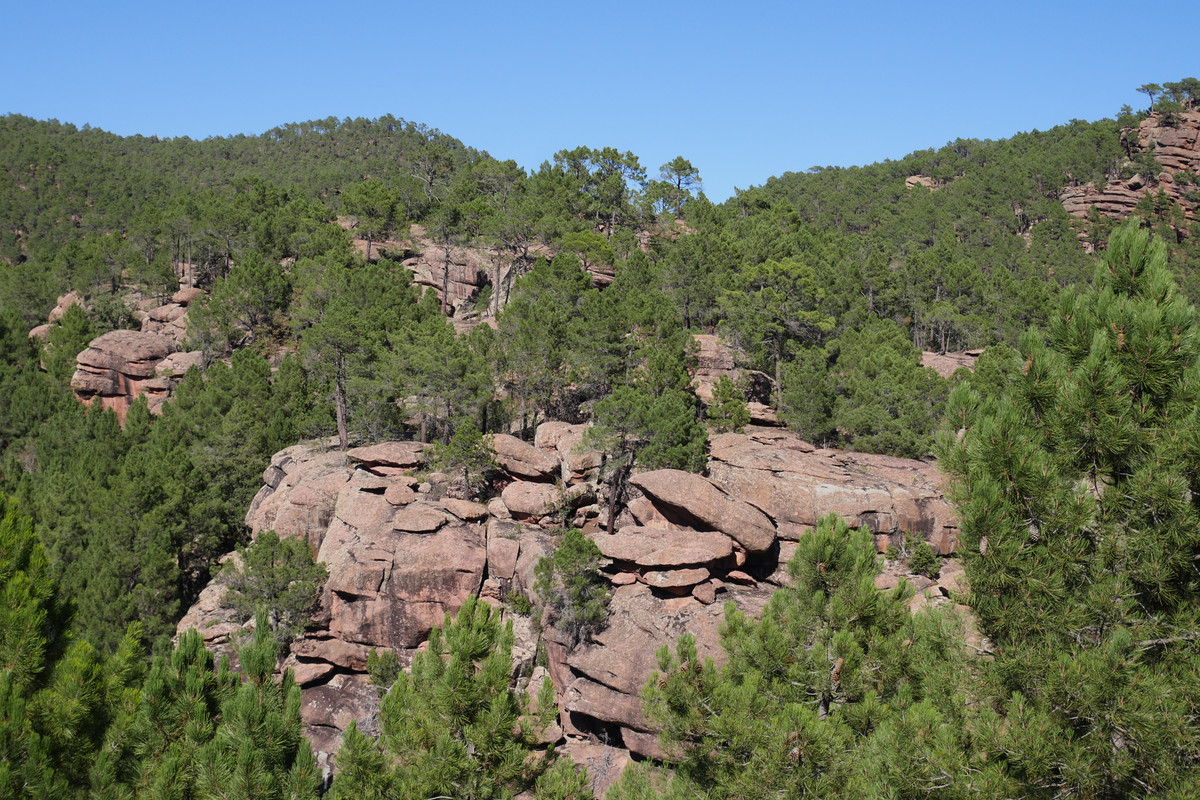 ECCDDD4C-4D50-43DA-BCD6-930F04DE2BD7