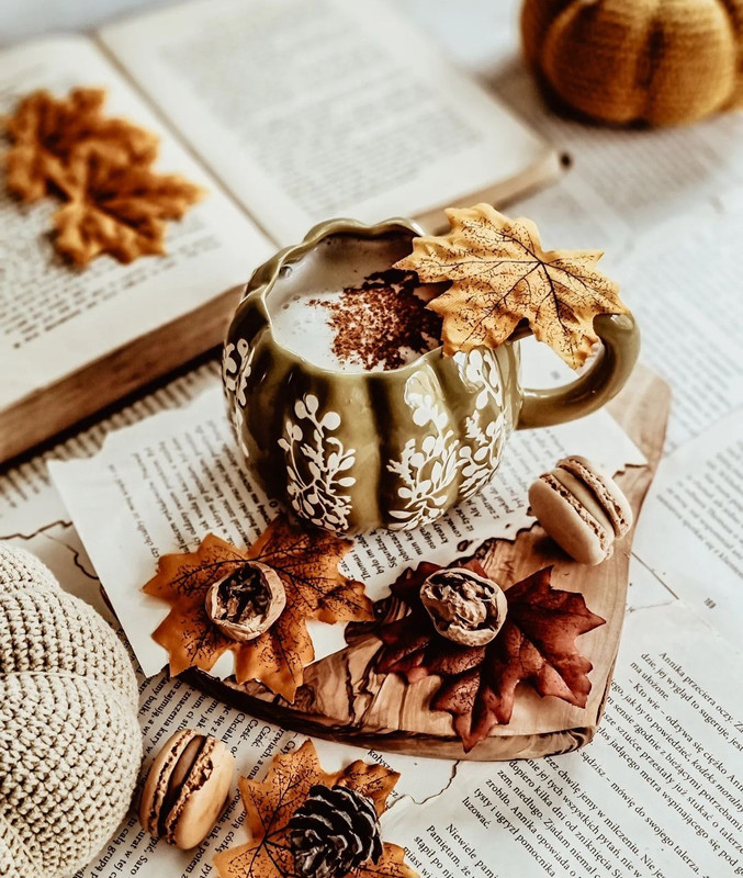 Screenshot_20231203_235700_Instagram