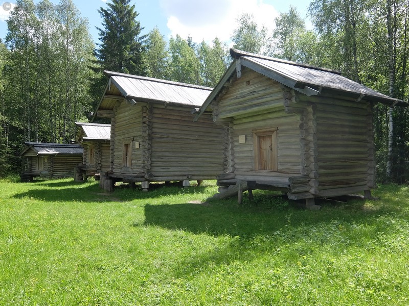 DSCF7919