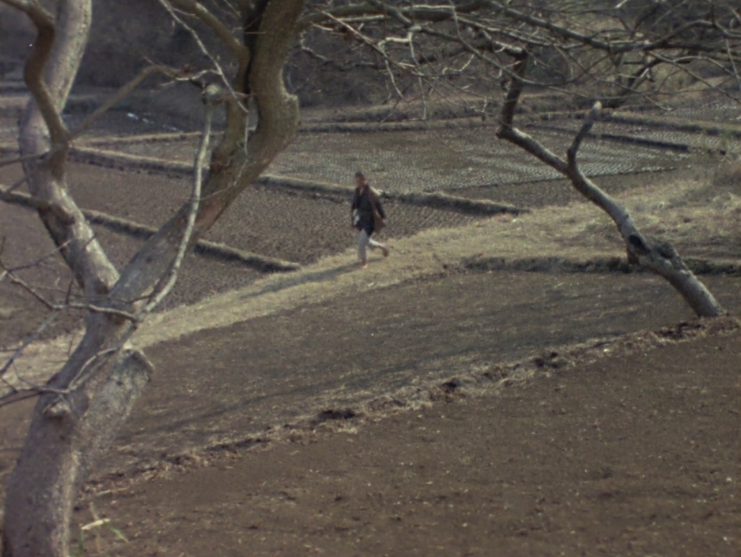 vlcsnap-2025-06-08-02h21m15s020