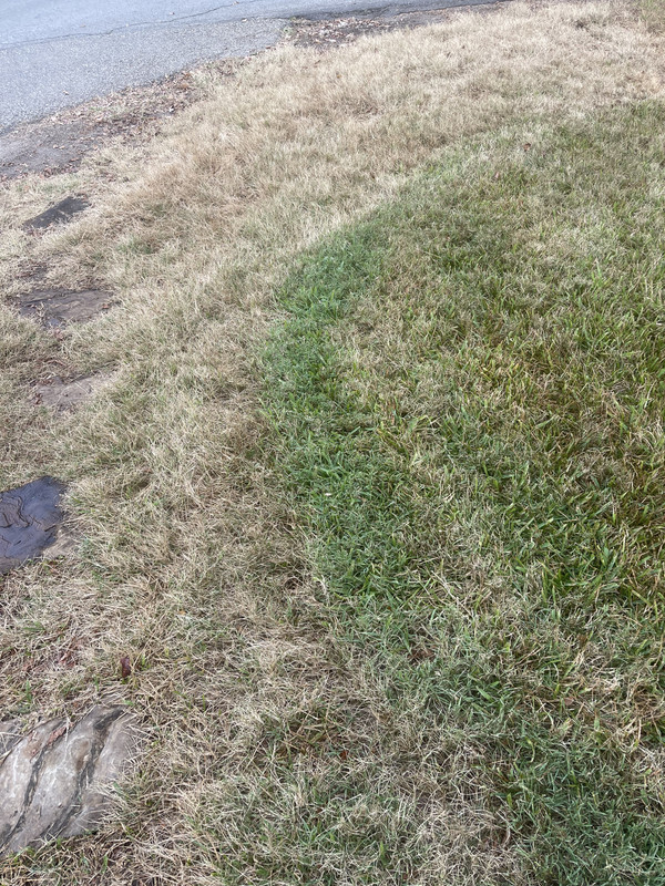 E4B4D6CD-DEDB-4DC1-91E8-3BAF1329A434