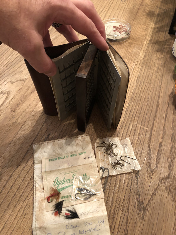 F683EAE2-0E05-4210-AE5C-6A427EB8D0EB