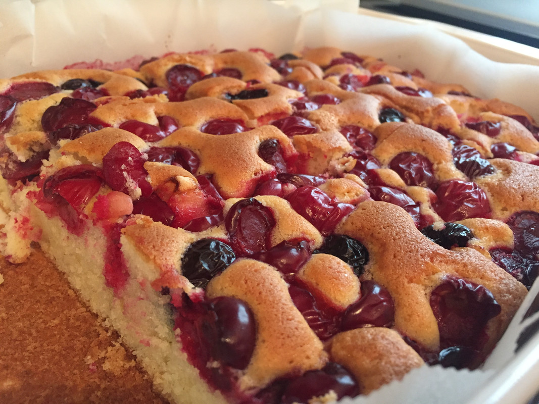 E1C8DEBB-BE02-4C2F-AD8C-8321FCE4169C