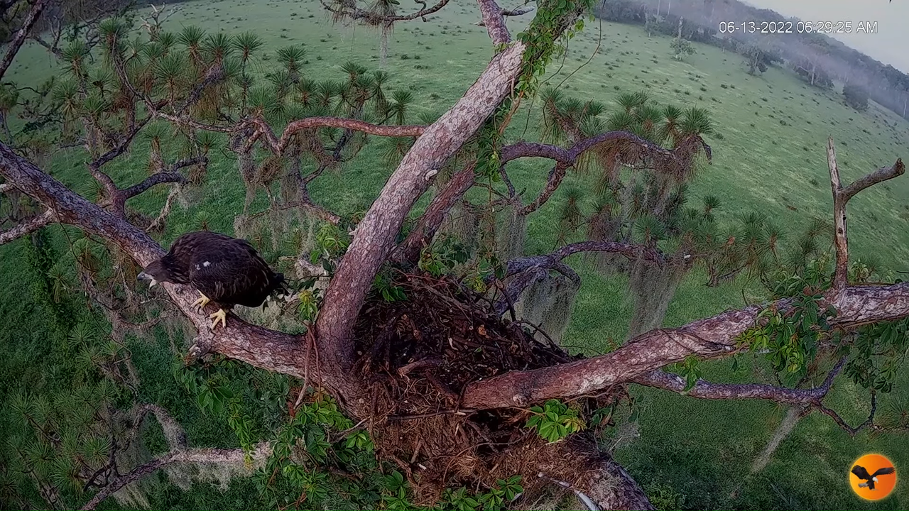 EC 4K Overhead Cam 6-22-22 screenshot