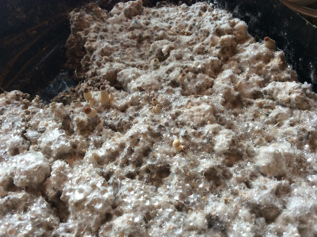 4487484D-5D2D-4C14-A52D-58770162C180