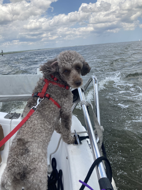 7ADCC5EC-E8C4-4553-9F11-D0E249BA926C