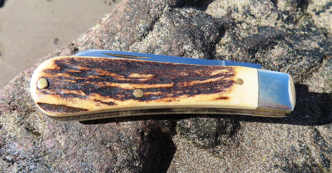 AW Small Sambar LF (2) 16-4