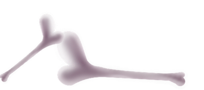 Halloweenpumpkitdnbones