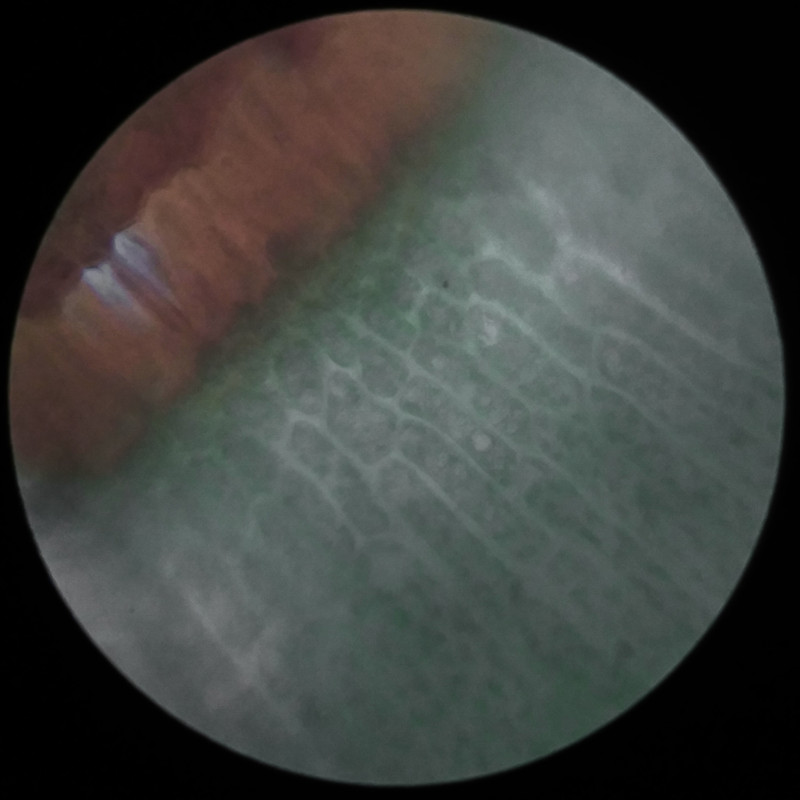 IMG 20250617 121109 HDR