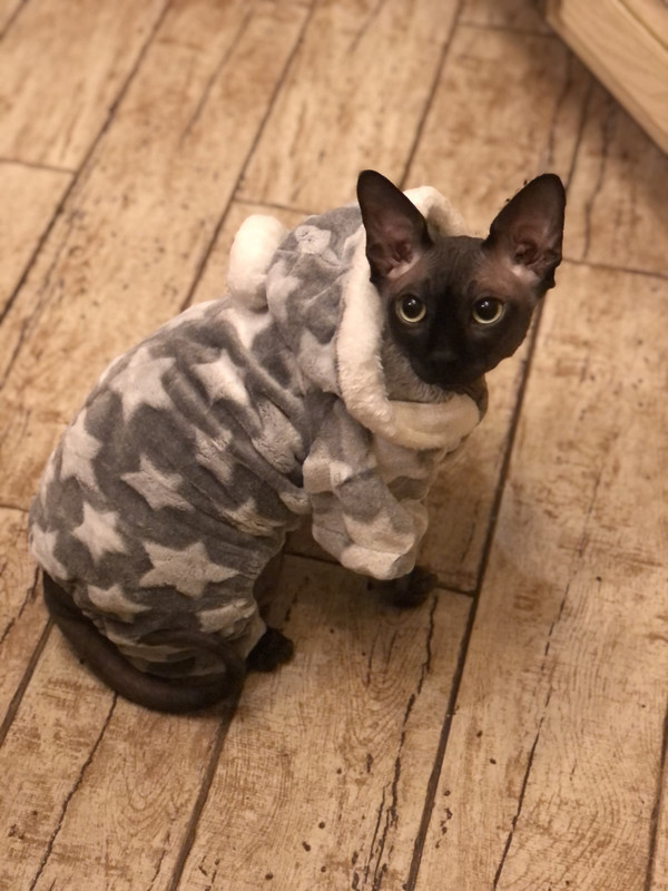 434ED8ED-26BA-4E49-A3B6-BD4739D802FA